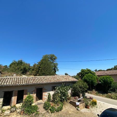 Philoufleur - Gite Restaure En Campagne Chaneins Exterior foto